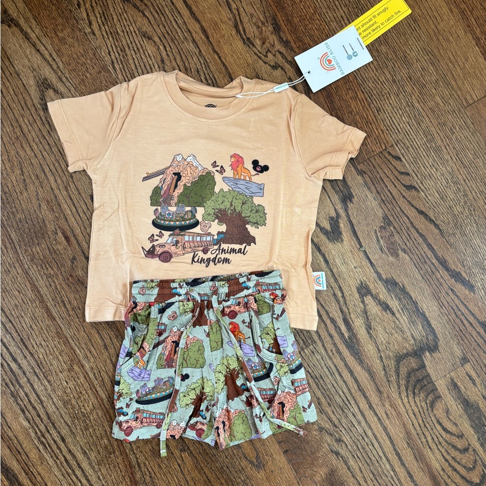 Disney Animal Kingdom Kids T-Shirt and Shorts Set